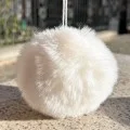 Pom pom