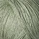 33638 dusty artichoke 