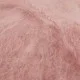 пепел рози 